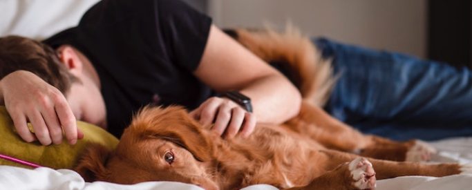 person and dog sleeping on bed